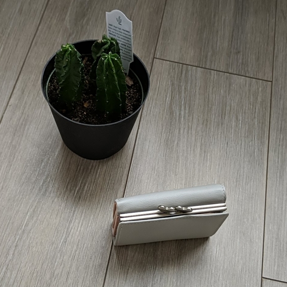 Wallet for kid By Miniso - Picture 5 of 5